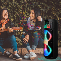 NEW SING-E Dual 8 inch HiFi Loud Speaker Super Bass Wireless Party Speaker