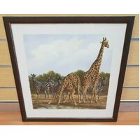 Andrew Bone Receding Waters Collectable Framed Art Work With Certificate