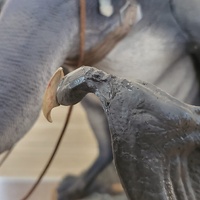 Iron Studios WBLOR23819-10 The Lord of the Rings 1/20 Fell Beast Diorama Statue