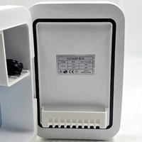 Portable Mini Makeup & Cosmetic Fridge Cooler Warmer LED Mirror 4L 12V DC Skincare Refrigerator