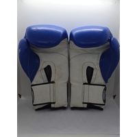 Punch Equipment 16oz Trophy Getters Commercial Boxing Gloves Blue