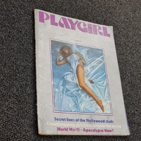 Playgirl Annual Magazine #29 Vintage Adult Entertainment
