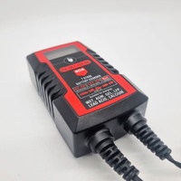 SCA 7 Stage Battery Charger 6V/12V 2A/4A for Wet AGM GEL LFP Lead Acid Batteries