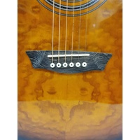 Washburn 6 String Dreadnought Acoustic Guitar with Gig Bag