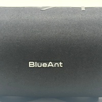 BlueAnt Portable Bluetooth Speaker 30W IP67 Waterproof Bass Boost