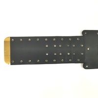 WWE NXT Championship Belt Replica 2014 V1 with Dust Cover Authentic