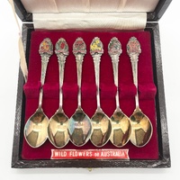 Vintage EPNS A1 Silver Plated Wildflowers of Australia 6 Spoon Set Souvenir