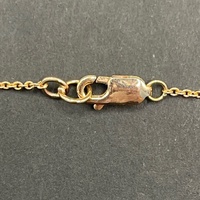 Ladies 9ct Rose Gold Belcher Link Necklace & Natural Diamond Flower Pendant