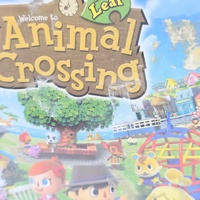 Animal Crossing New Leaf Nintendo 3DS Cartridge Video Game