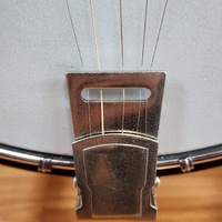 Tennessee 5 String Bluegrass Banjo Remo Head Nato Neck 22 Frets Resonator