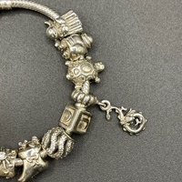 Ladies 925 Sterling Silver Pandora Snake Link Charm Bracelet