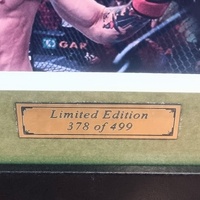 Conor McGregor UFC Framed Memorabilia Limited Edition 378/499 COA 16x20