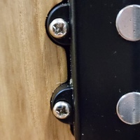 Magna 4 String Maple Ash Electric Bass Guitar with Hard Case