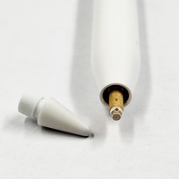 Apple Pencil USB-C A3085 Stylus for iPan Magnetic Attache Pixel Perfect