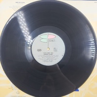 Robert Plant Now and Zen 1988 Vinyl Record LP Classic Rock Album 12" Analog Stereo Collectible