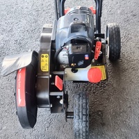 Ozito PED-3005 25.4cc 1HP 2 Stroke Lawn Edger 225mm Blade