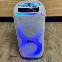 X Echo Lunar 110 Tower Speaker 50W RGB Wireless White 605912 Bluetooth