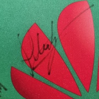 NRL Canberra Raiders 2020 Authentics Signed Home Jersey Size 12