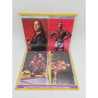Panini 1998 WCW nWo Superstars Photocard Album Wrestling Trading Cards Binder
