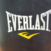 Everlast Target Freestanding Punching Bag Boxing MMA Workout Stand