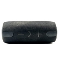 BlueAnt X3i Portable 30 Watt Bluetooth Speaker IP67 Waterproof Black