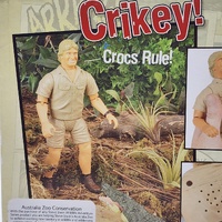 Steve Irwin Talking Action Figure Wildlife Adventure Series Crocodile