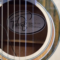 Tribute TRI-1CE Semi-Acoustic Cutaway Guitar Steel String Tuner Brown