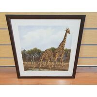 Andrew Bone Receding Waters Collectable Framed Art Work With Certificate