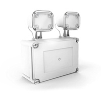 Ektor Twinspot Lite Emergency Luminaire (New Never Used)