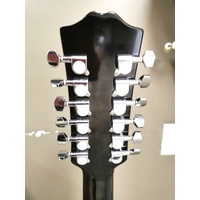 Redding RED512ETS 12 String Semi Acoustic with In-Built Tuner and Hard Case
