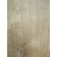 Gunn and Moore Purist II Original LE Short Handle English Willow Cricket Bat