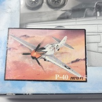 NewRay 1:48 Scale P-40 Warhawk Model Kit 20215 F1 Pilot Series