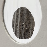 Italy Sicily Palermo Tancred Billon 1/4 Tercenarius Medieval Coin 1190-94