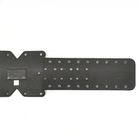 WWE NXT Championship Belt Replica 2014 V1 with Dust Cover Authentic