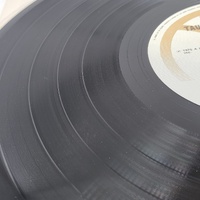 Peter Allen Taught By Experts Gatefold Vinyl Record