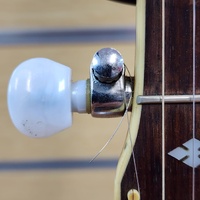 Tennessee 5 String Bluegrass Banjo Remo Head Nato Neck 22 Frets Resonator