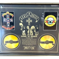 Framed Guns N Roses Appetite for Destruction Memorabilia Art