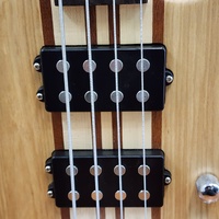 Magna 4 String Maple Ash Electric Bass Guitar with Hard Case