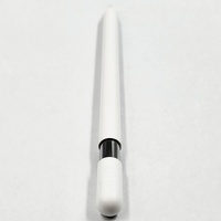 Apple Pencil USB-C A3085 Stylus for iPan Magnetic Attache Pixel Perfect