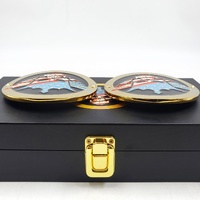 WWE Cody Rhodes American Nightmare Replica Championship Side Plate Box Set