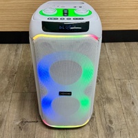 X Echo Lunar 110 Tower Speaker 50W RGB Wireless White 605912 Bluetooth