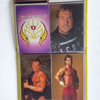 1998 Panini WCW nWo Superstars Photocard Collector Album Incomplete Wrestling Card Binder
