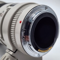 Canon EF 300mm f/4 L USM Telephoto Lens Professional L-Series EF Mount