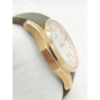 Emporio Armani AR-3332 Unisex Gold Toned Muted Green Strap Analogue Watch