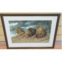 Andrew Bone Triple Trouble Collectable Framed Art Work With Certificate
