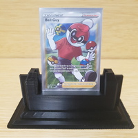 Pokemon - Trainer Ball Guy Supporter 065/072