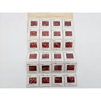 Vintage Kodak Film Slides Milano 60 Souvenir Italy Photo Art Collection