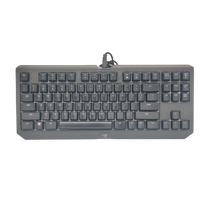 Razer Blackwidow TE Chroma V2 Keyboard Green Switches Gaming Keyboard