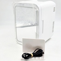 Portable Mini Makeup & Cosmetic Fridge Cooler Warmer LED Mirror 4L 12V DC Skincare Refrigerator