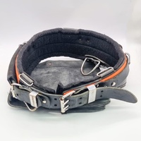 BuildPro Tool Belt 48 Inch with Buckaroo Tool Pouch and Hammer Loop